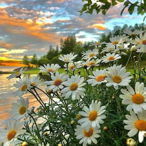 امین ملاها مادر من بیا آرامشت رو بیار دست نوازشت